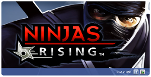 Ninja Rising su facebook.