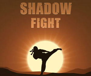 Shadow Fight, gioco di combattimenti su FB e G+
